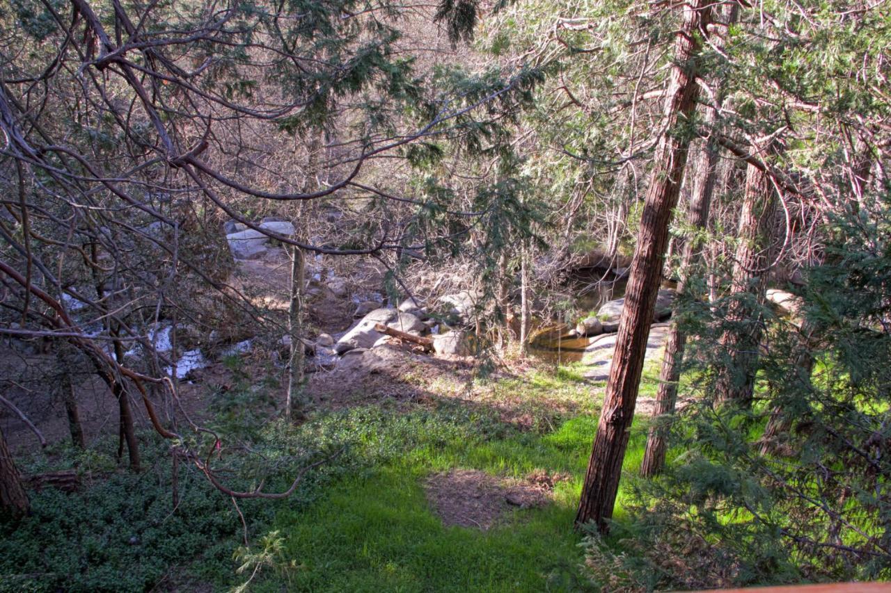 Sierra Springs Villa Oakhurst Dış mekan fotoğraf